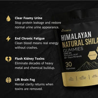 Kidney Support Shilajit Gummies CoC
