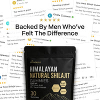 Kidney Support Shilajit Gummies CoC