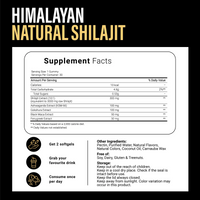 Kidney Support Shilajit Gummies CoC